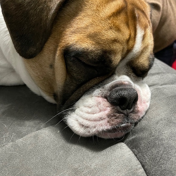 Meet your Posher, Jessica - Picture 1 of 1